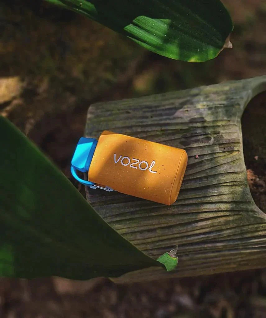 Vozol Gear 10000 Puffs Disposable Vape Device (0mg) - Box of 10 | Rechargeable & Beginner-Friendly